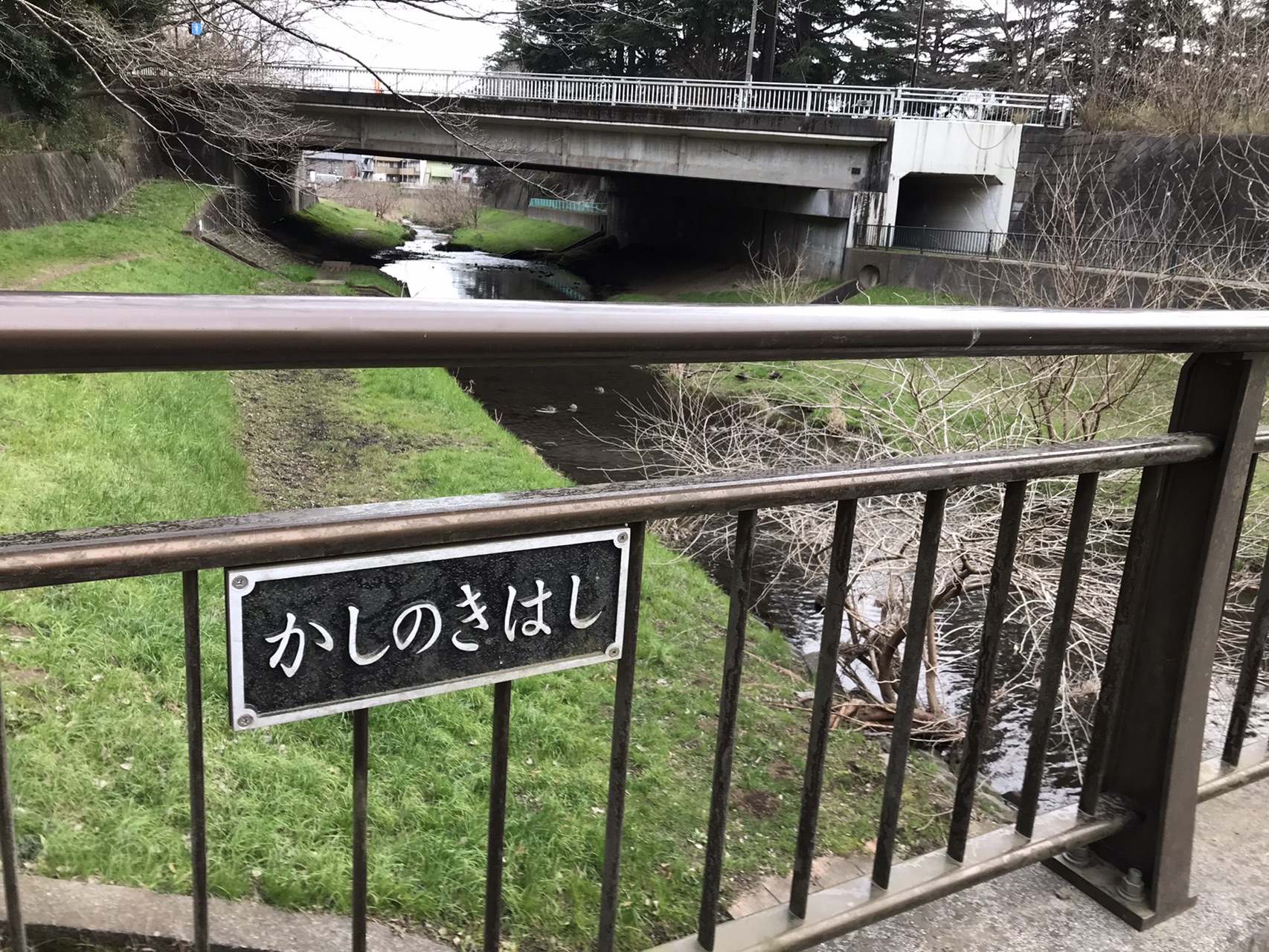 野川の橋めぐりその4 Tadamacさんの国分寺市の活動日記 Yamap ヤマップ