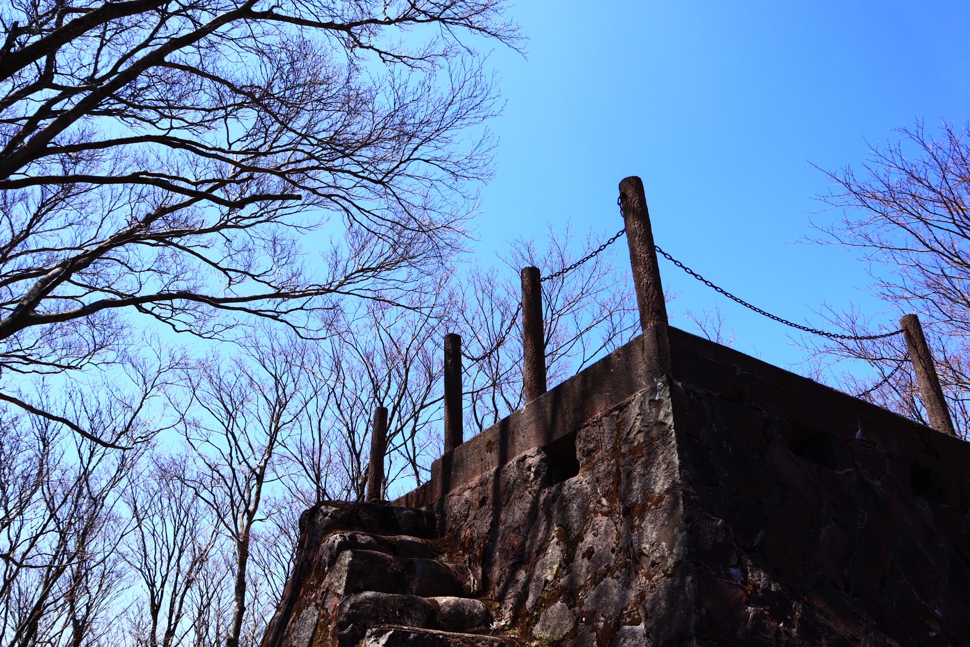 透明なワンコと一緒に犬ヶ岳 さともゆさんの犬ヶ岳 福岡県 大分県 求菩提山の活動日記 Yamap ヤマップ