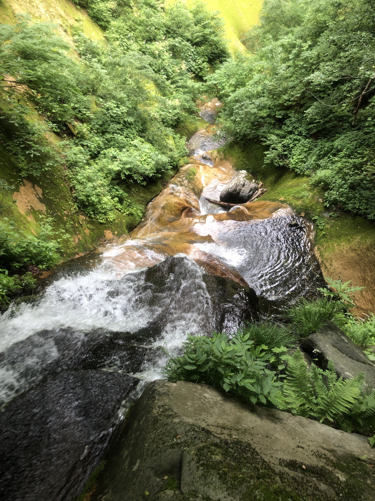 神の息吹に触れた仙人沢 神室二岳周回 山猫さんの面白山 神室岳 雨呼山の活動データ Yamap ヤマップ