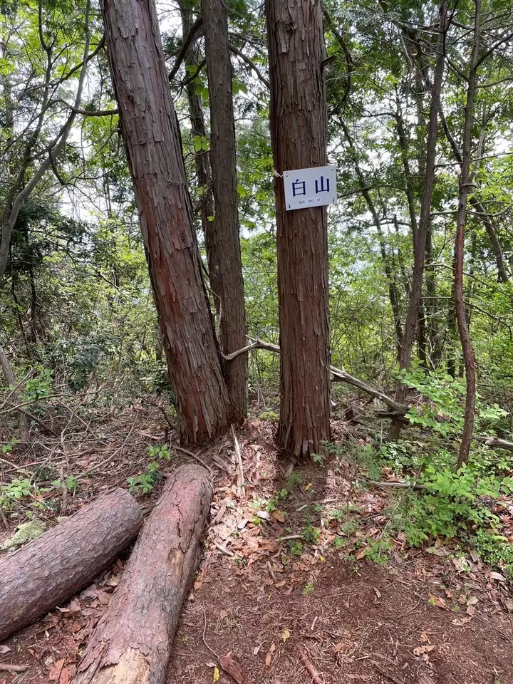 白山 岐阜県美濃市 岐阜 の登山 山頂 天気 人気のルート 最新の記録 Yamap ヤマップ