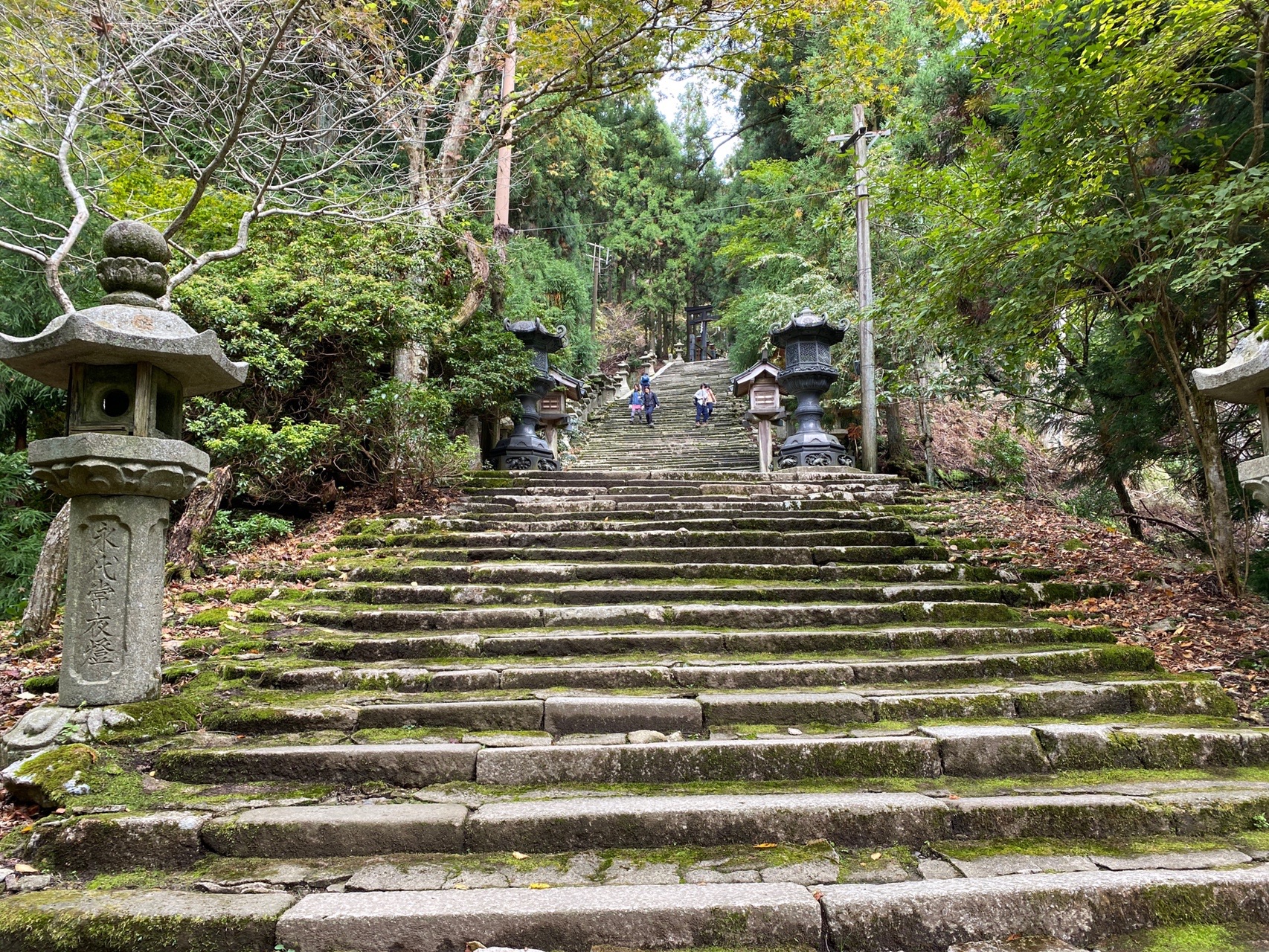 愛宕山 あらまんさんの保津川 桂川 の活動データ Yamap ヤマップ