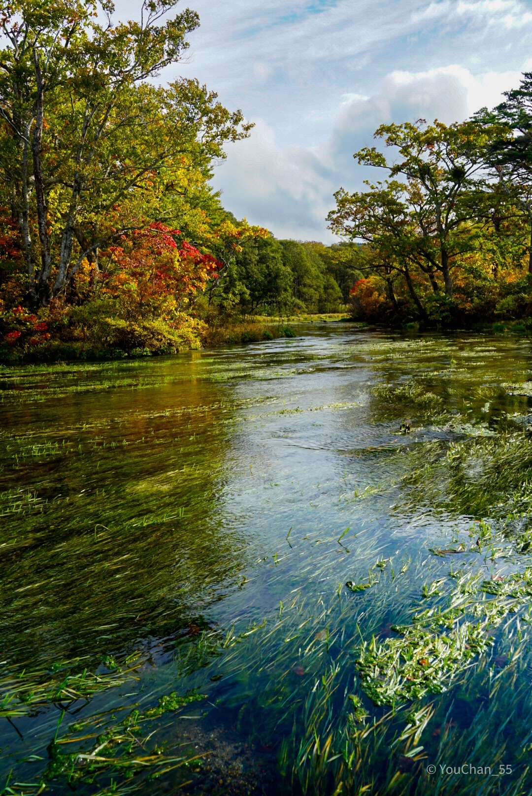 164 田代平湿原 グダリ沼の秋 ふたたび ようちゃんさんの八甲田山 高田大岳 雛岳の活動データ Yamap ヤマップ