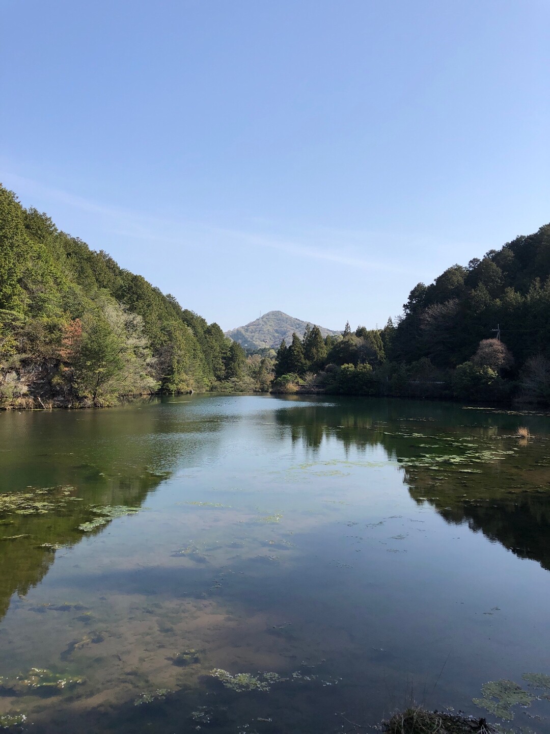 大川山 / さぬきのいっちゃんさんの竜王山（讃岐山脈）・大川山の活動データ YAMAP / ヤマップ