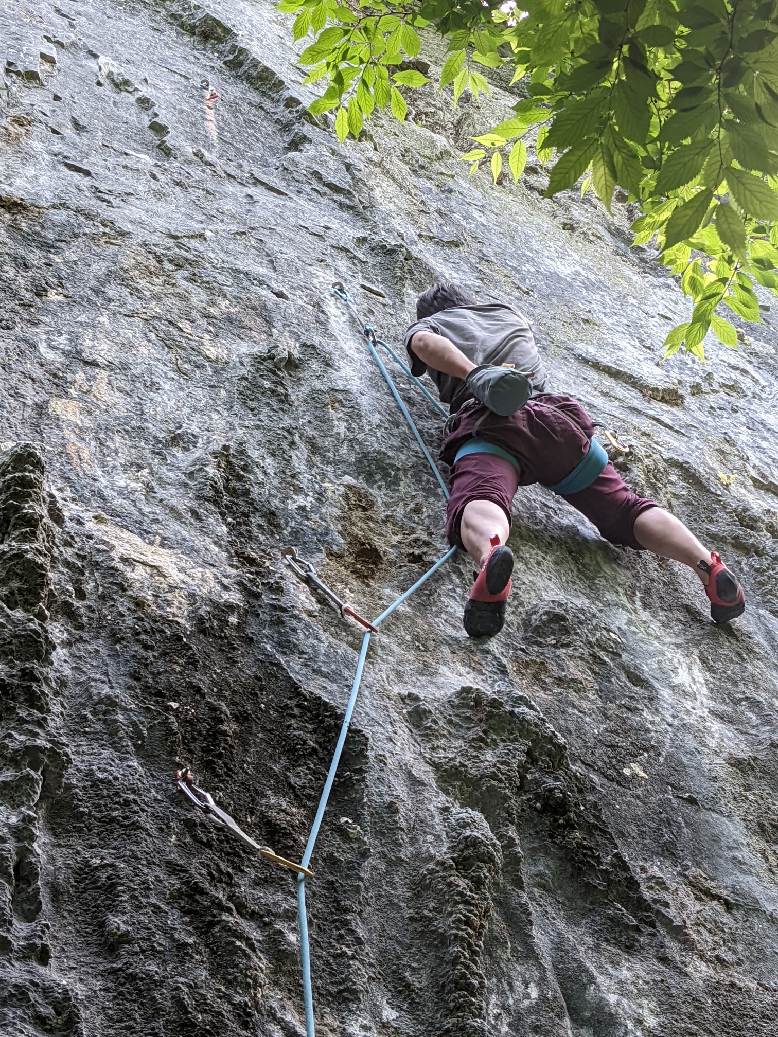備中 磐窟渓 カオス軌道20220528 / ToKさんのクライミングの活動日記 YAMAP / ヤマップ