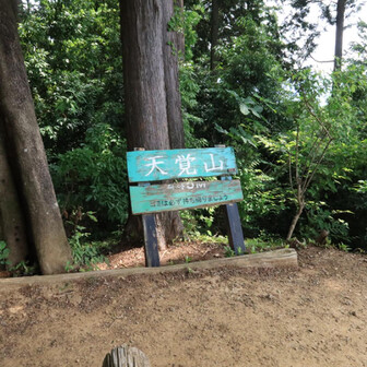 本物の天覚山