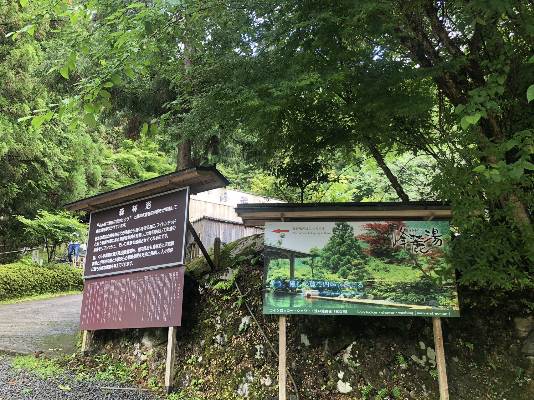 やっと行けた鞍馬山 貴船山 鞍馬山 19 06 16 Kayさんの貴船山 鞍馬山の活動日記 Yamap ヤマップ