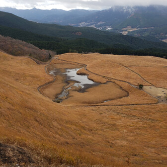 ⛰️すず🎻💐(元suzu9227)