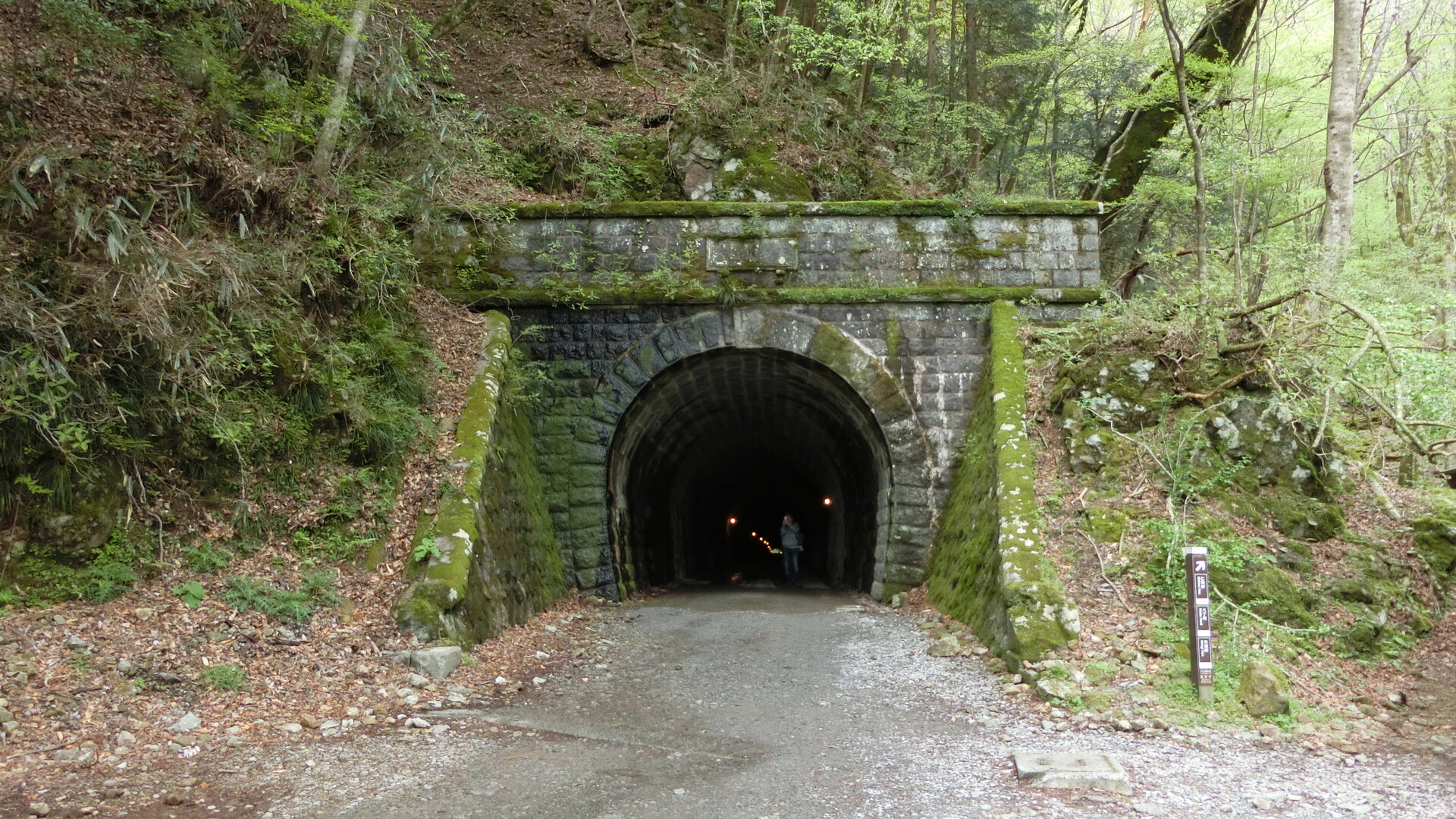 天城山 万二郎岳 万三郎岳 天城高原ゴルフ場から天城峠 天城トンネルまで縦走 Tadmさんの天城山 鉢ノ山 三筋山の活動日記 Yamap ヤマップ