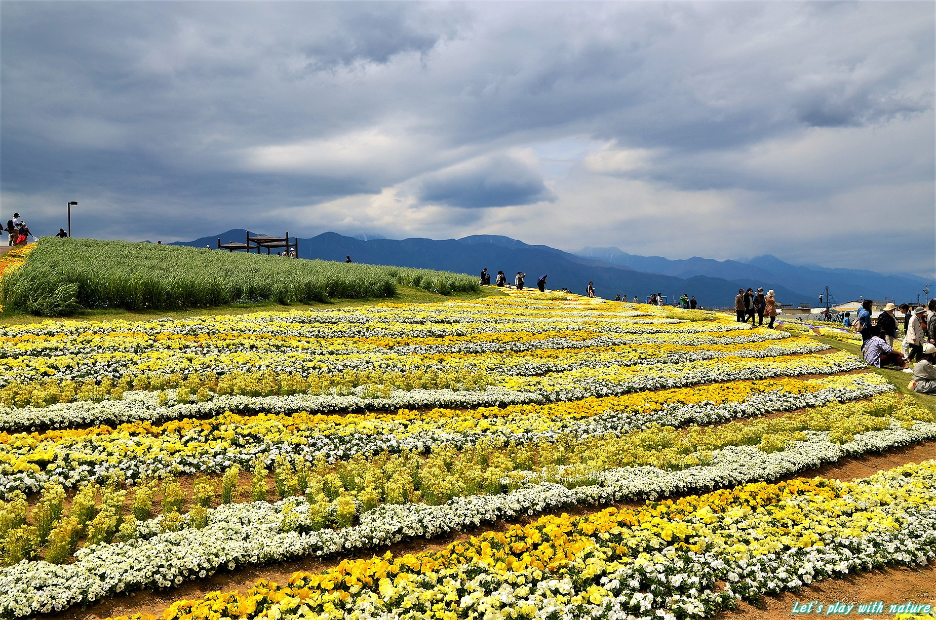 信州花フェスタ19に行ってきました プミラさんの松本市の活動日記 Yamap ヤマップ