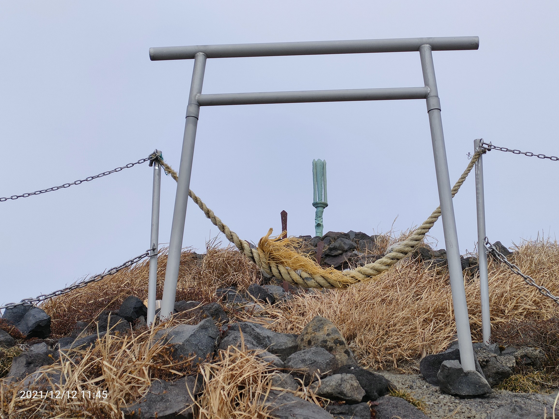 f707bf63582a49e29961e43cea96cf