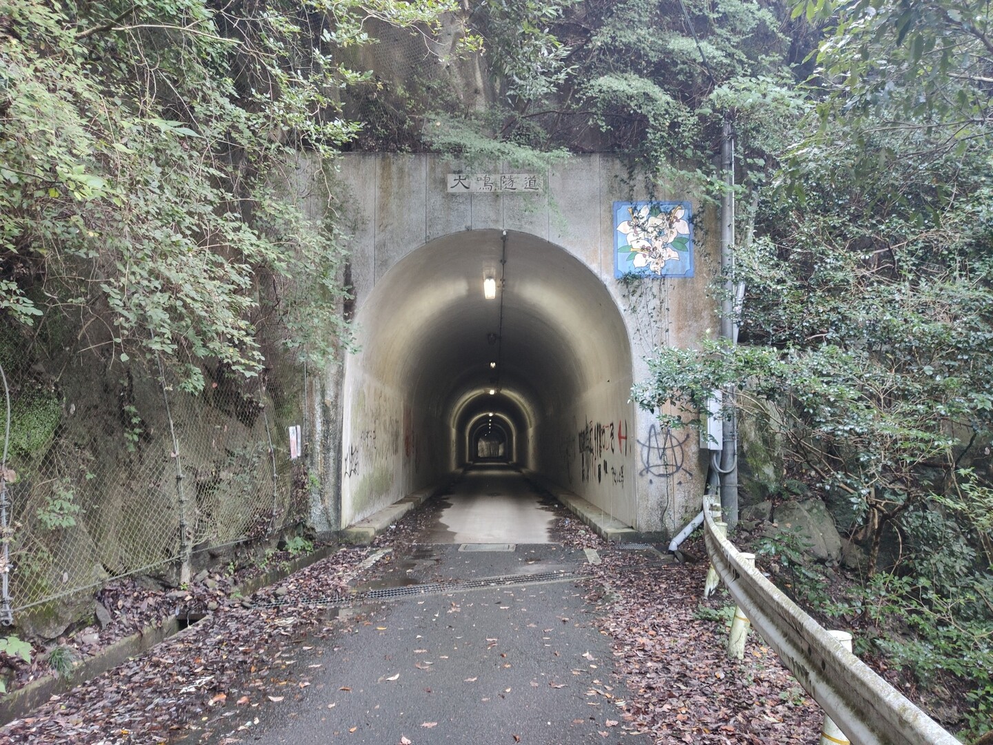 犬鳴 和泉葛城山系ロングハイク 19 10 30 Hayane14さんの槇尾山 槙尾山 和泉葛城山 神於山の活動日記 Yamap ヤマップ