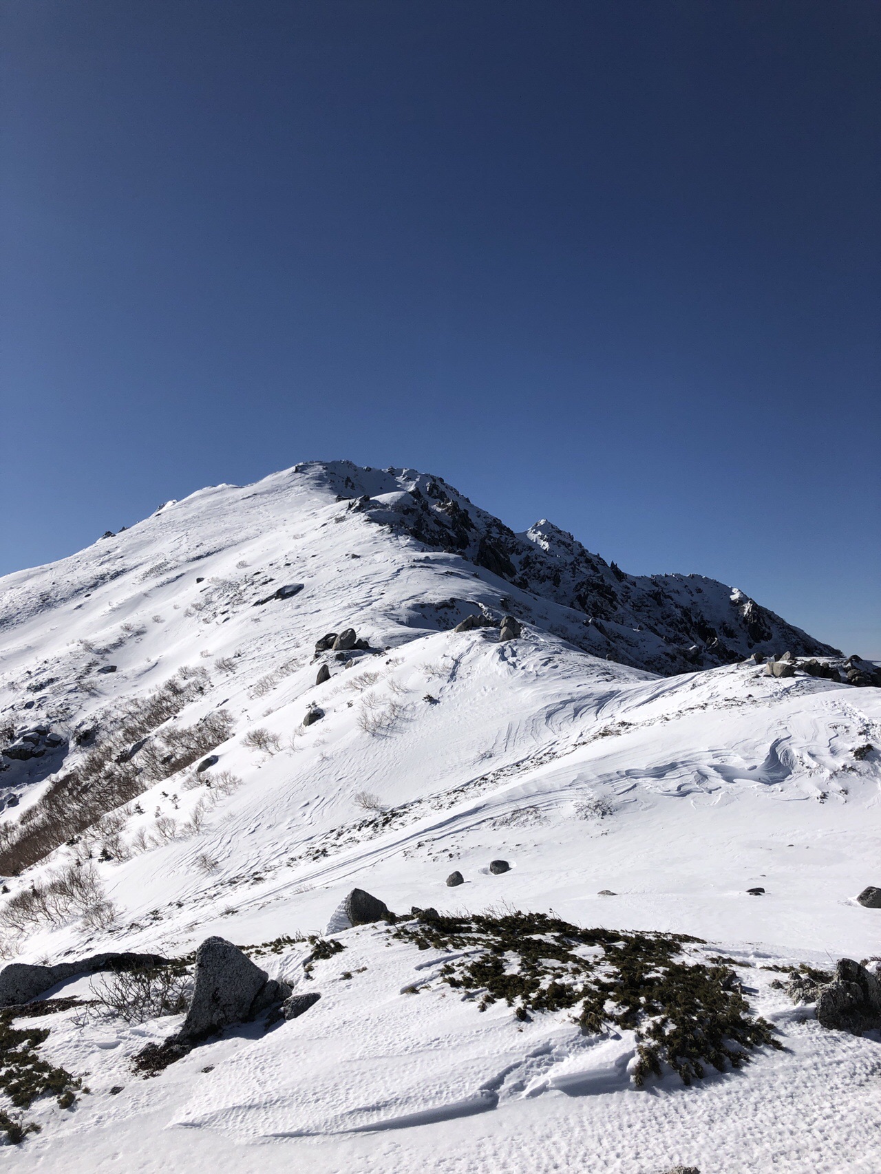 冬の空木岳 雪山ソロ日帰り Tomoさんの木曽駒ヶ岳 空木岳 越百山の活動データ Yamap ヤマップ