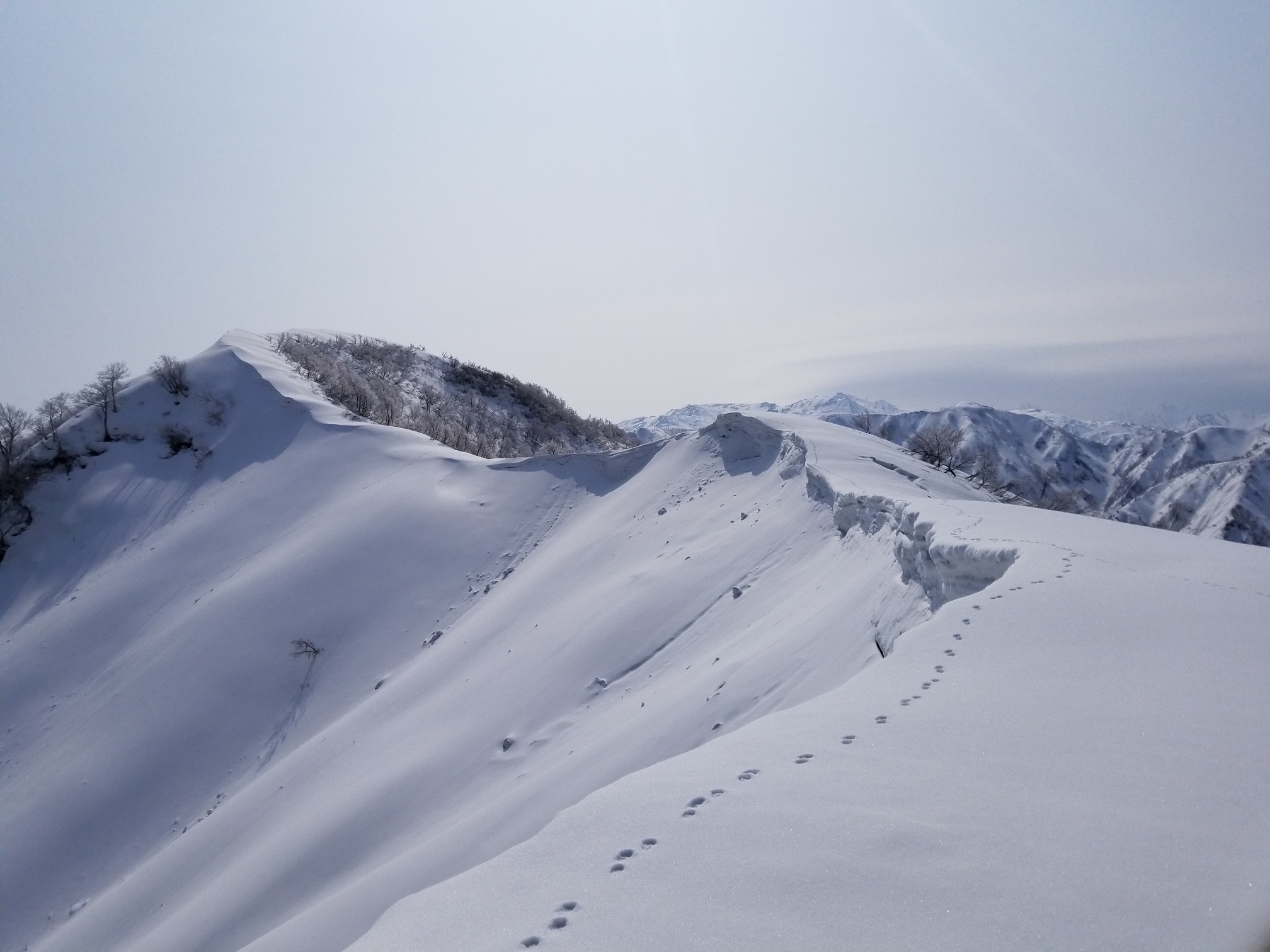 19 03 29初雪山大地山鍋倉山 かっきーさんの黒菱山 富山県 初雪山 負釣山の活動データ Yamap ヤマップ