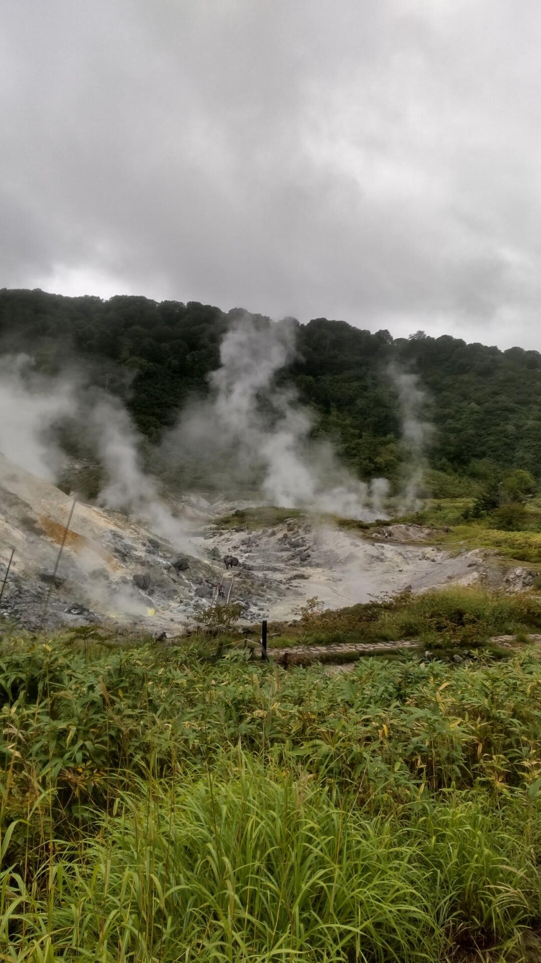焼山230916 / わきっちさんの秋田焼山・栂森の活動データ YAMAP / ヤマップ