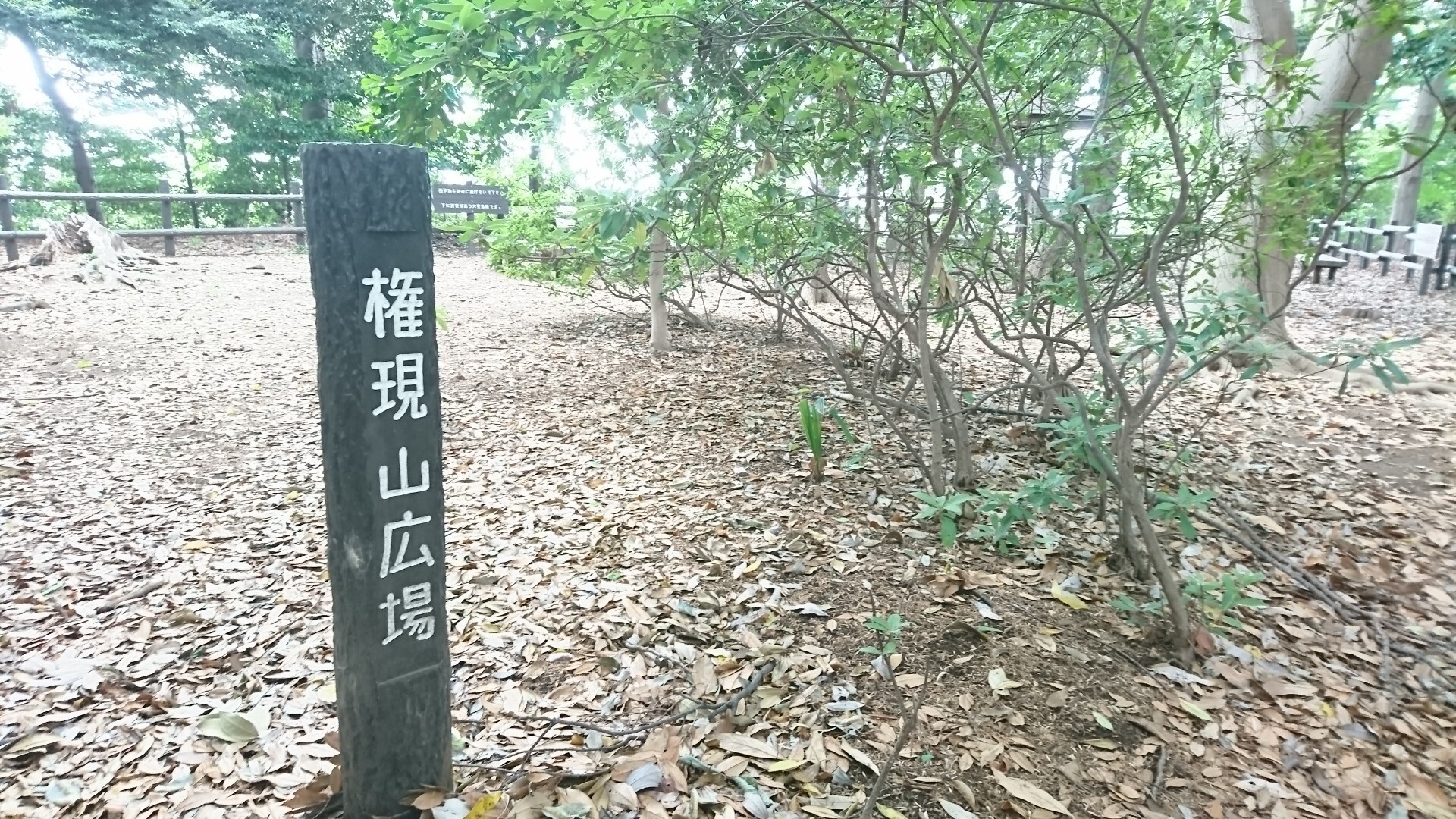 権現山（師岡貝塚、師岡熊野神社） / SAKAさんの横浜市 北エリアの活動データ YAMAP / ヤマップ