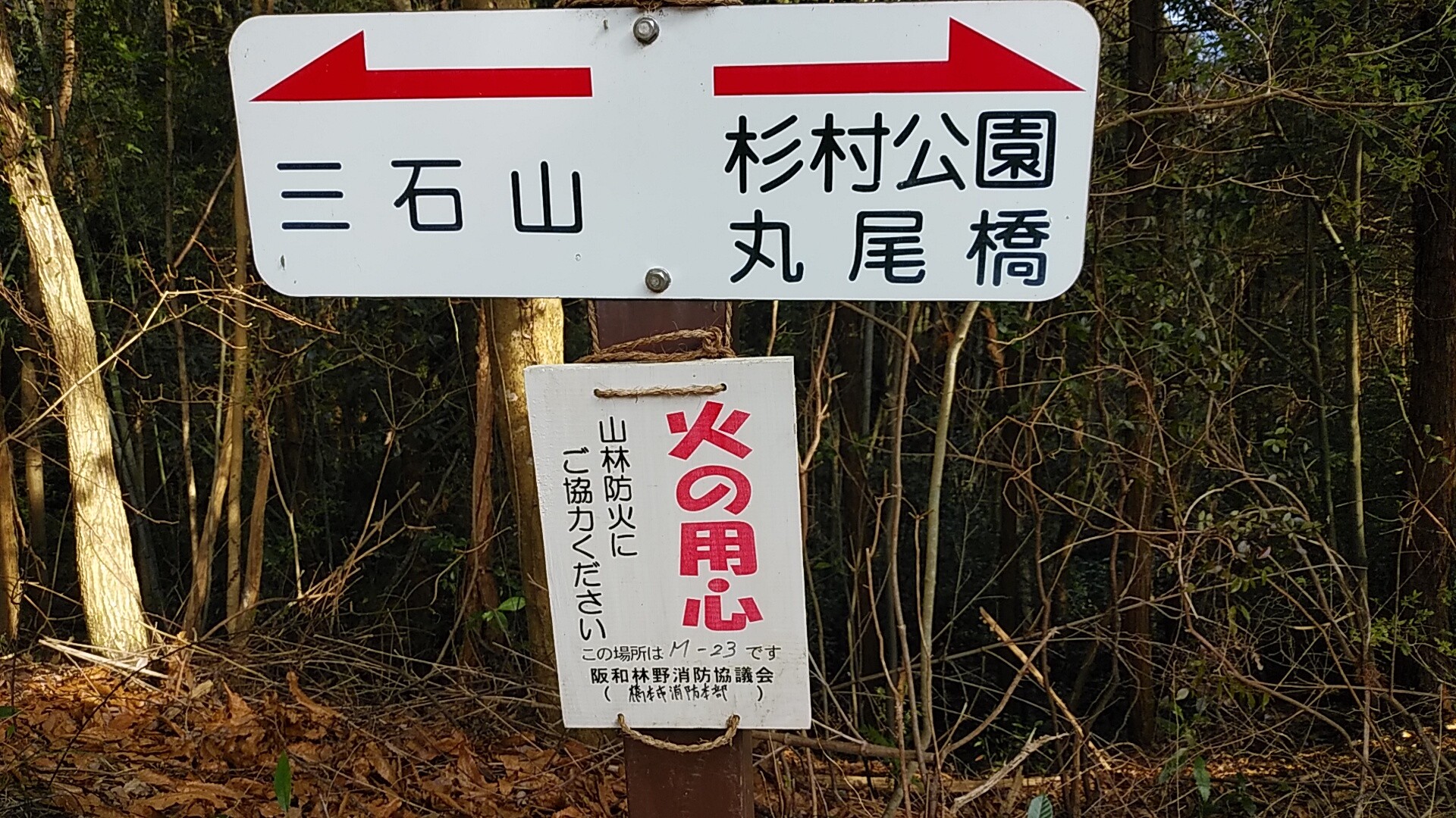 黒シバくん 三石山の吊り橋は やっさんさんの岩湧山 一徳防山 三石山の活動日記 Yamap ヤマップ