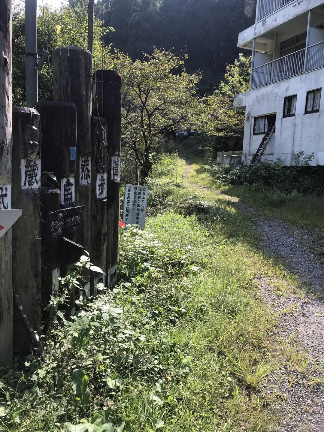 スカリ山 19 10 01 蜃気朗さんの日和田山 物見山の活動日記 Yamap ヤマップ