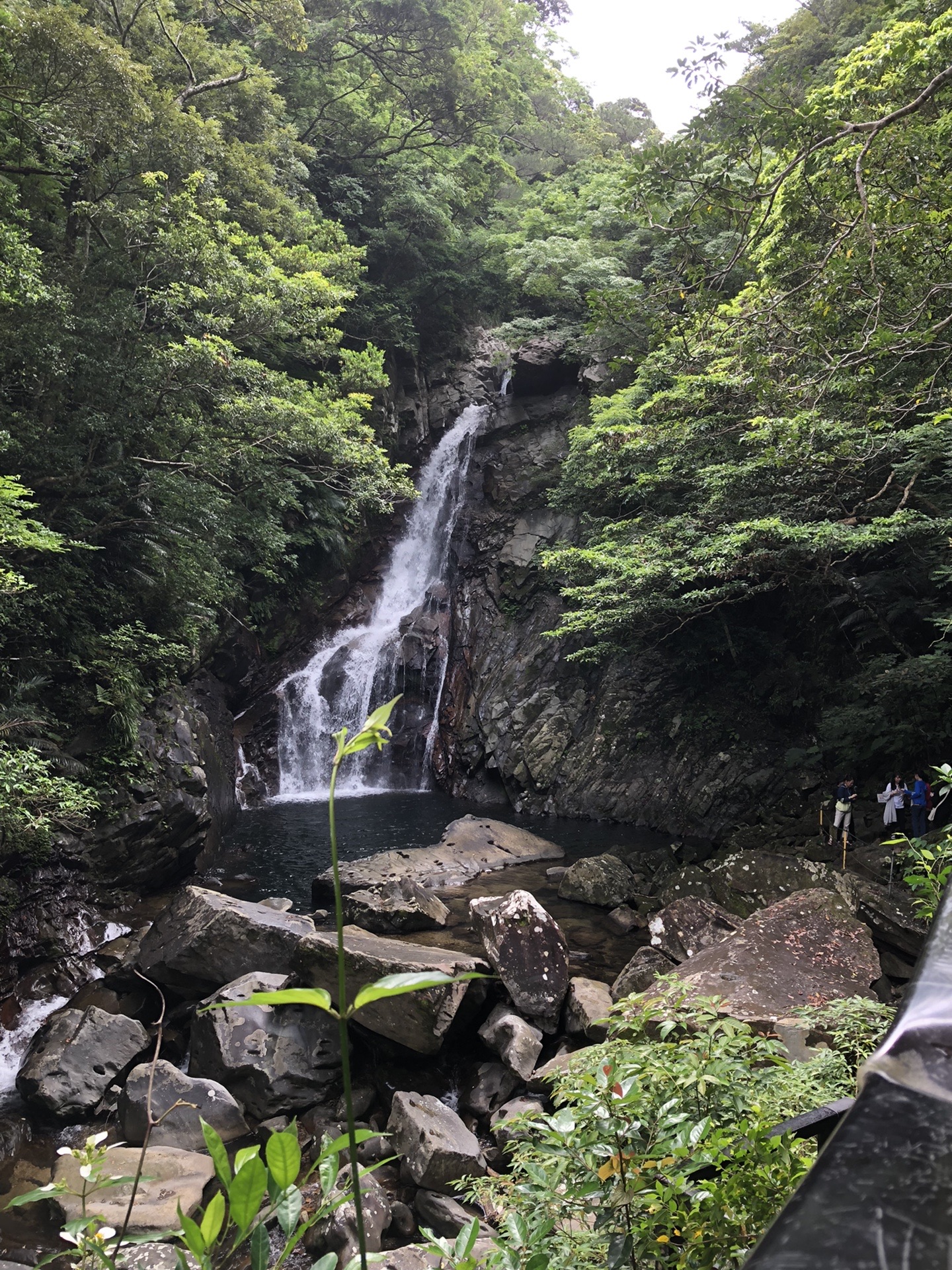 沖縄ハイキング 比地大滝 Nya Oさんの与那覇岳の活動日記 Yamap ヤマップ
