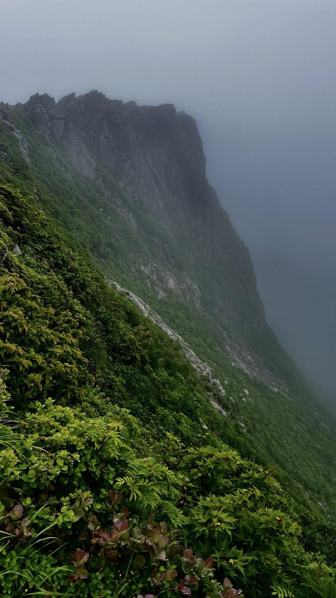 黒湯からの乳頭山（烏帽子岳）の写真