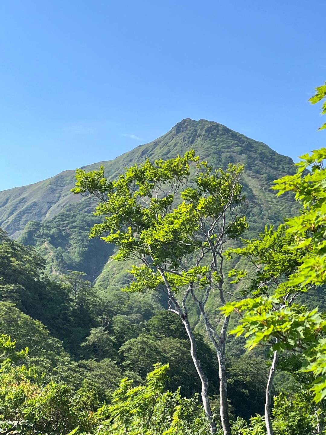 吾策新道から万太郎山(ピストン) / 野山を愛するハナさんの谷川岳・七ツ小屋山・大源太山の活動データ YAMAP / ヤマップ