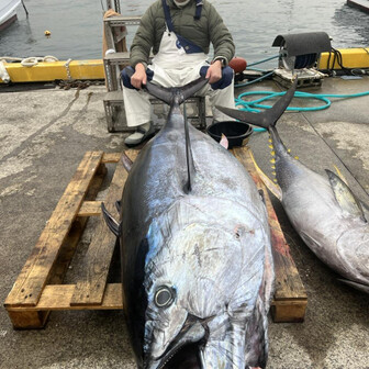 登山するマグロ釣師