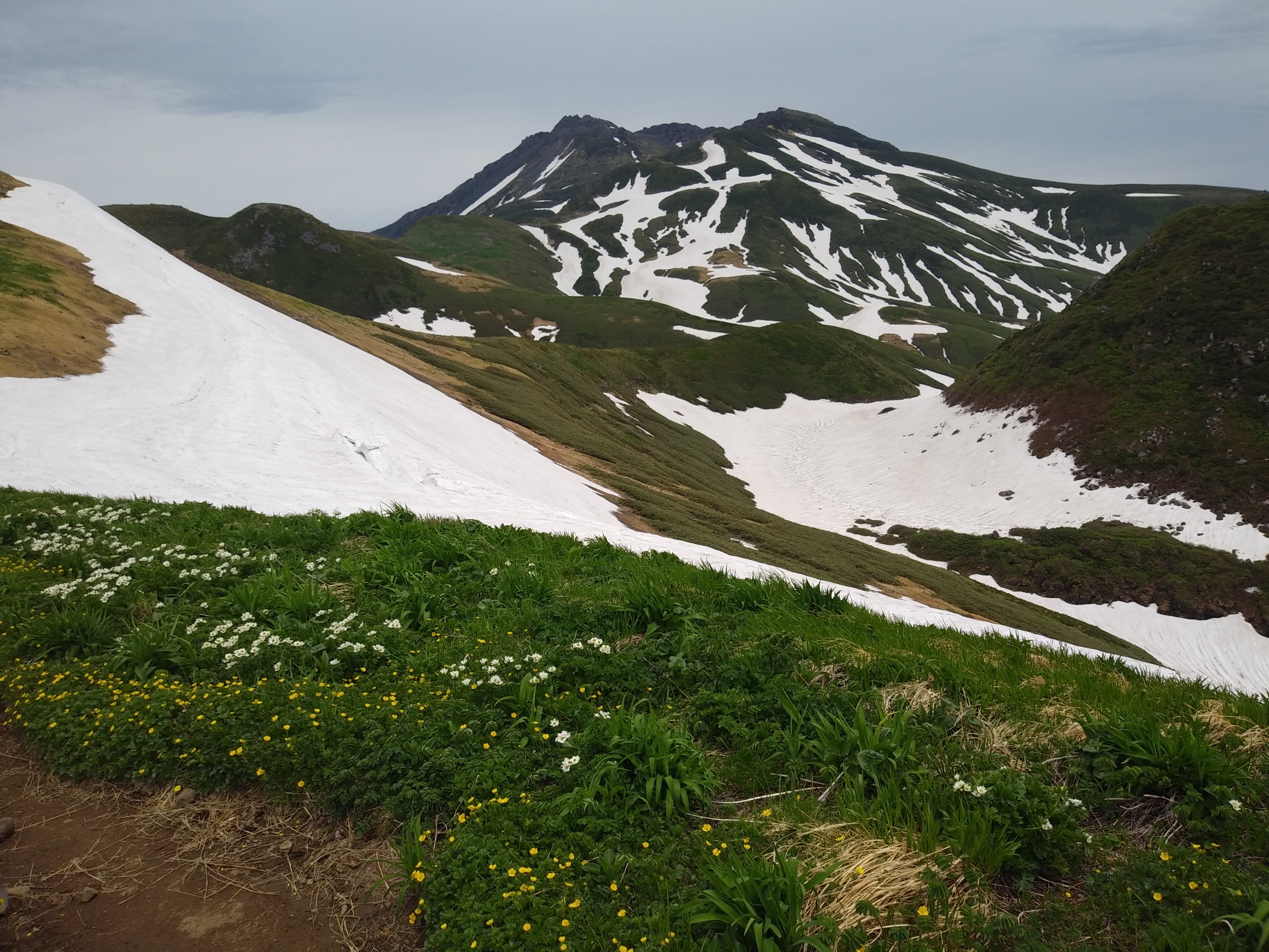 鳥海山 西面から登る 大平登山口 御浜 鳥海湖 鉾立登山口 06 14 Macさんの鳥海山 七高山 笙ヶ岳の活動データ Yamap ヤマップ