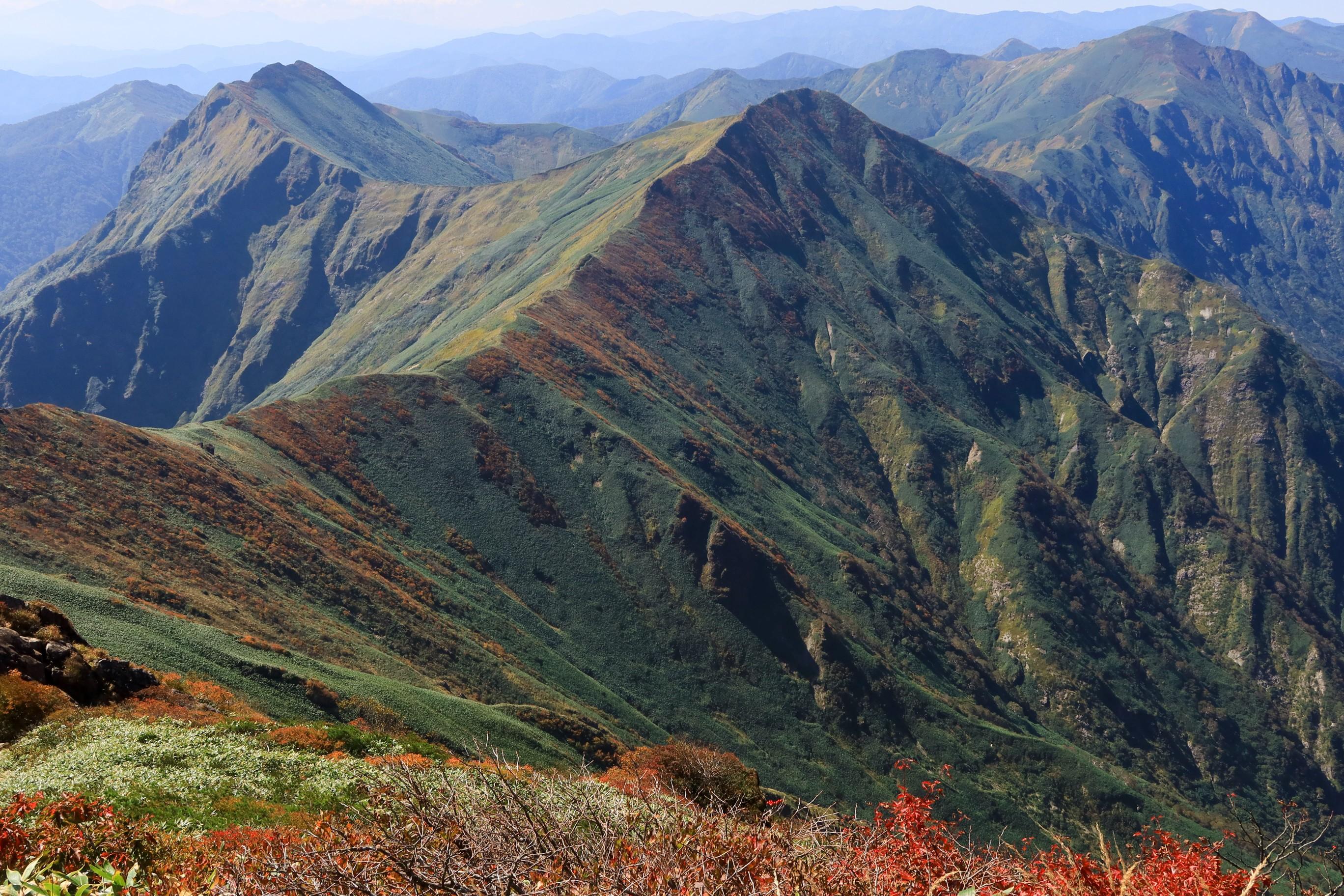 谷川岳 天神尾根コース らーさんの谷川岳 七ツ小屋山 大源太山の活動データ Yamap ヤマップ