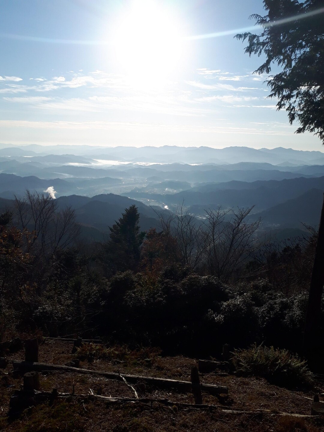 白猪山二ノ峰・白猪山 / ワタルくんさんの白猪山の活動データ YAMAP / ヤマップ