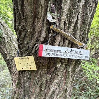 下山は石寺跡道で