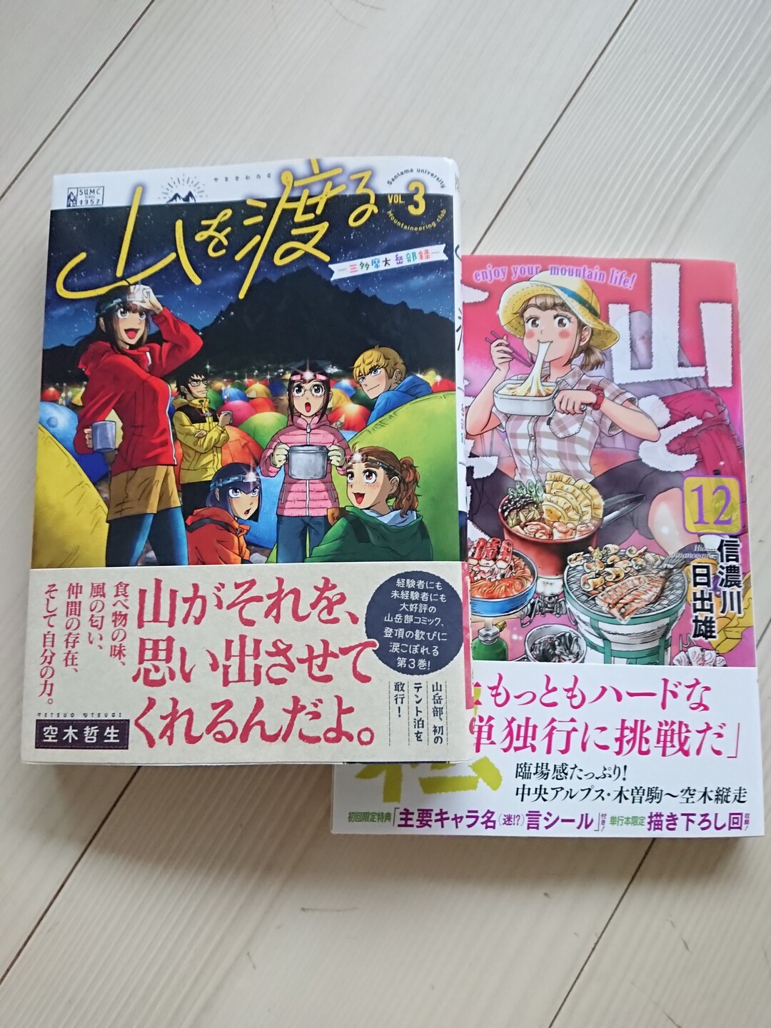 山のマンガ二題 山を渡る は待ちに待っ Carro22さんのモーメント Yamap ヤマップ