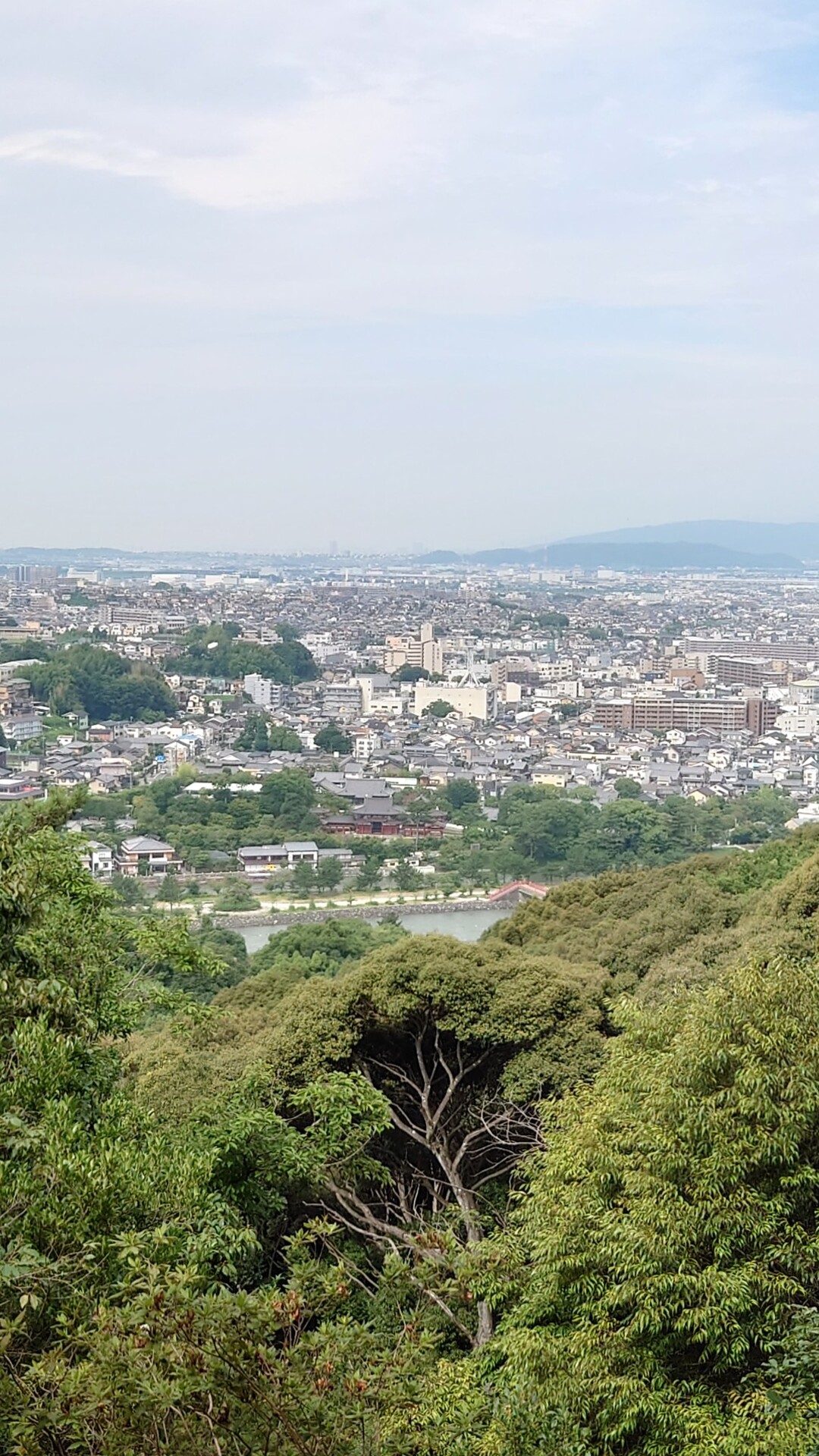 のんびり喜撰山周回でキノコとダム / takasunさんの大吉山（仏徳山）・喜撰山の活動データ YAMAP / ヤマップ