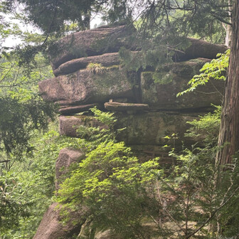 畠山 