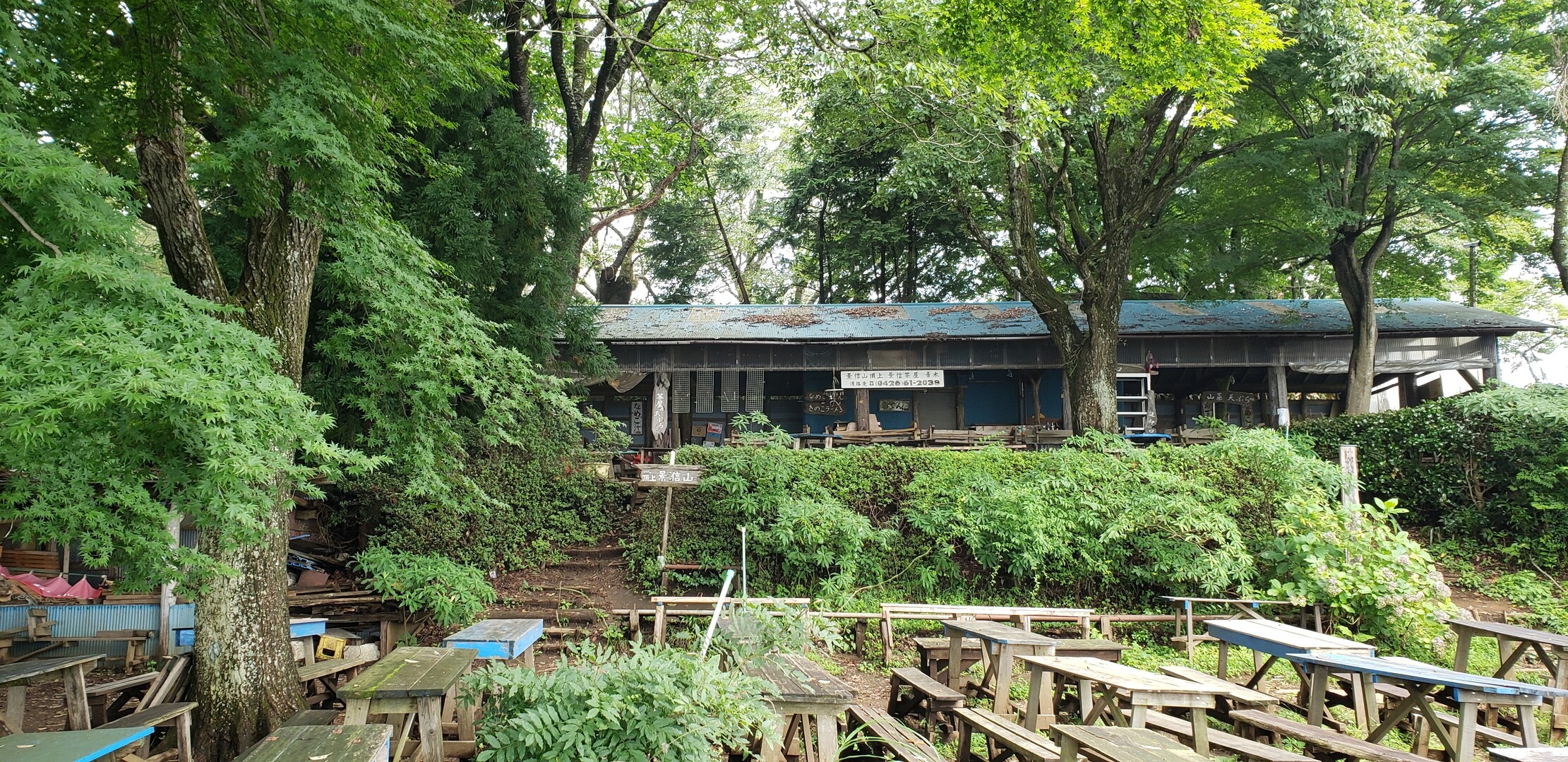 景信山から高尾山まで真夏の縦走 よっきーさんの高尾山 陣馬山 景信山の活動日記 Yamap ヤマップ