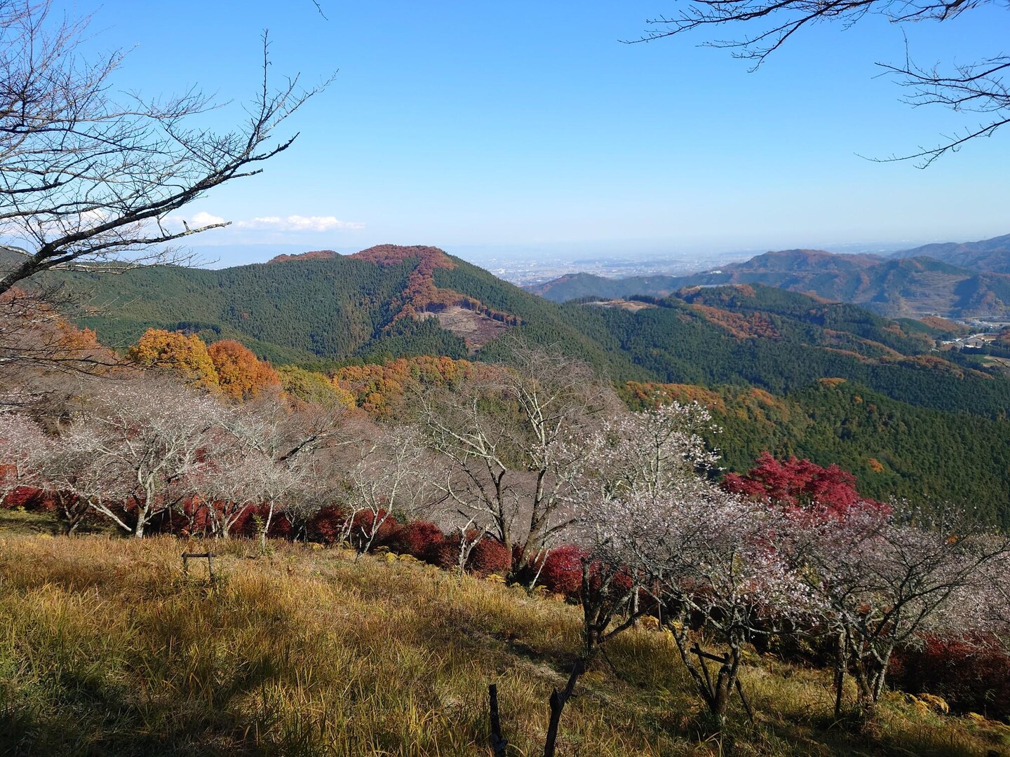弁天山・桜山 / かんのとさんの御荷鉾山・オドケ山・桐ノ城山の活動データ | YAMAP / ヤマップ