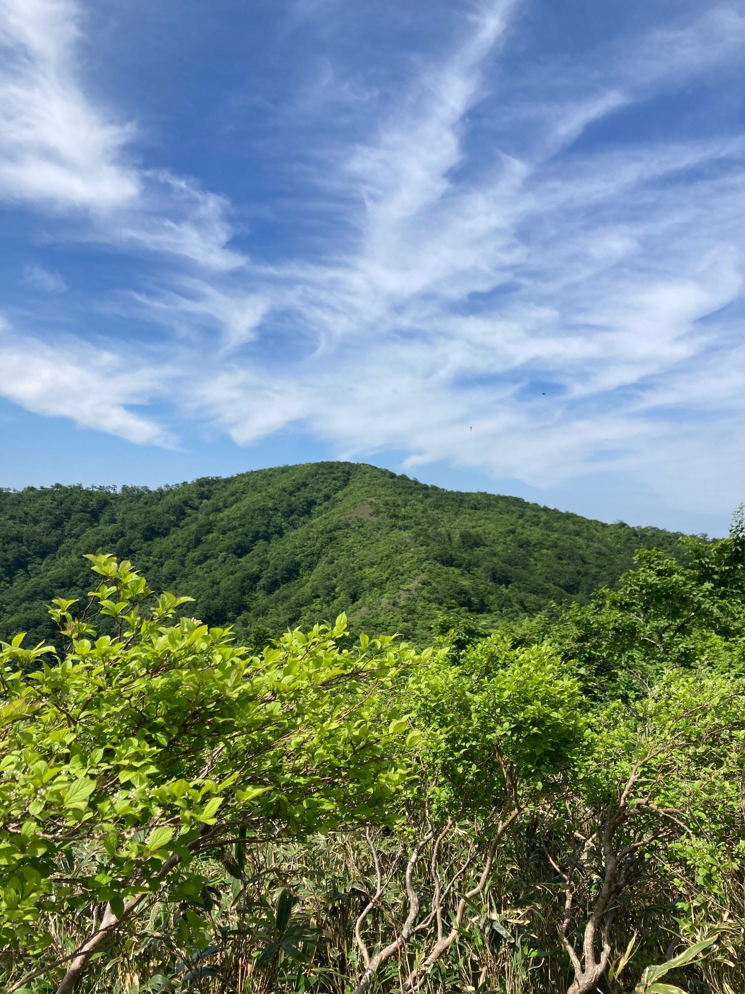近江百山-ヤマレコ