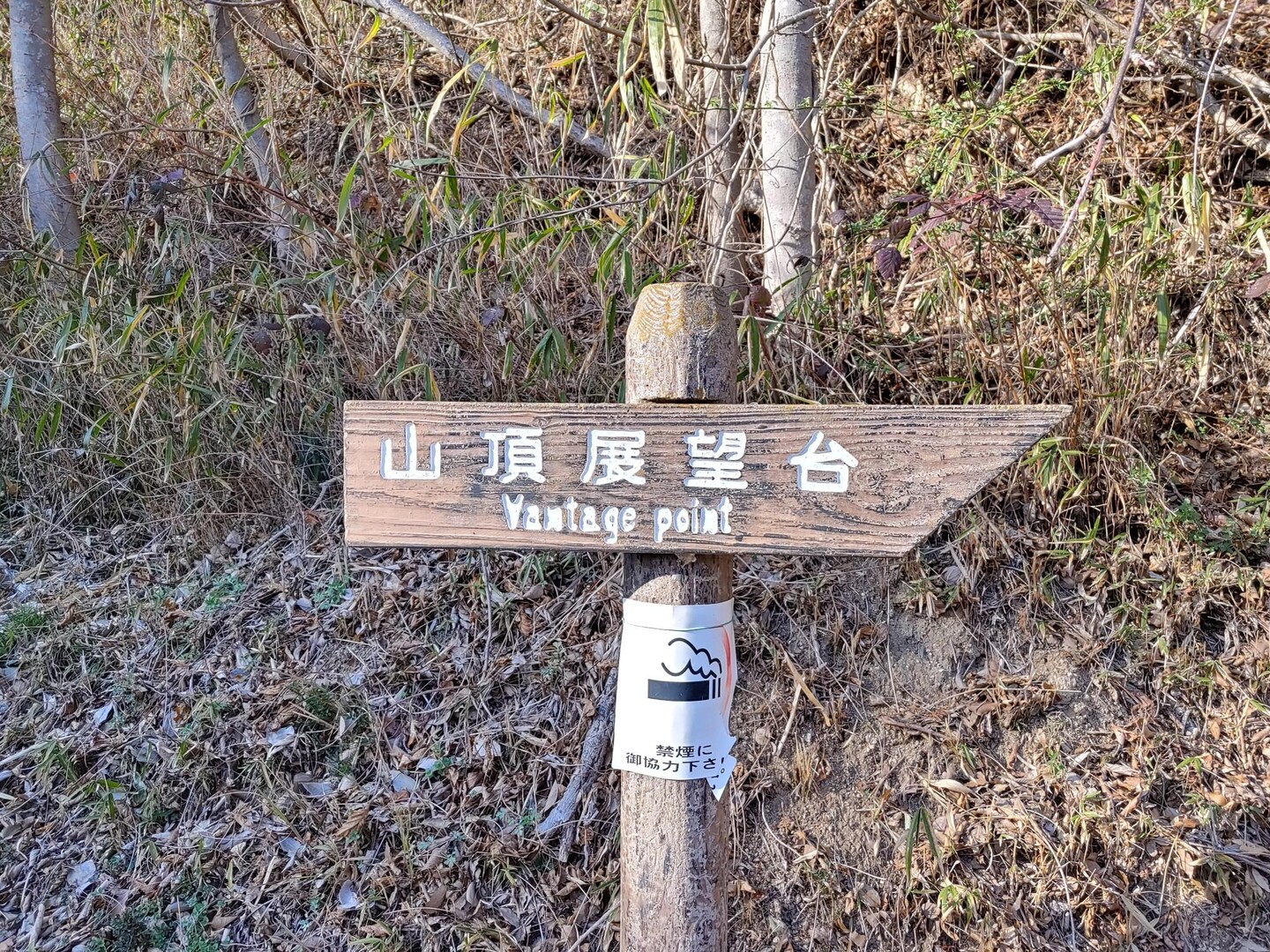 近見山 / ぃたたたたたたさんの瀬戸内しまなみ海道（南エリア）の活動データ YAMAP / ヤマップ