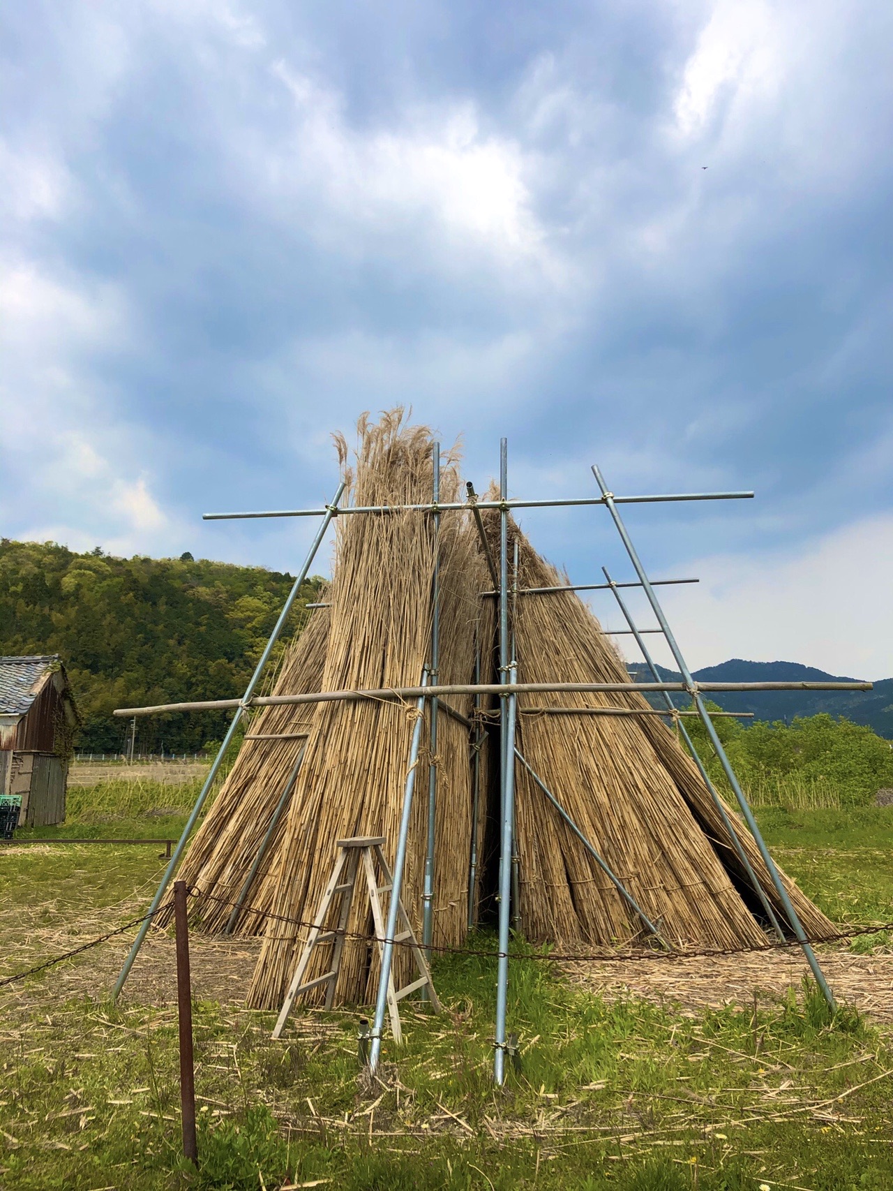 西の湖一周 Jog ふらぼんさんの繖山 観音寺山 の活動データ Yamap ヤマップ
