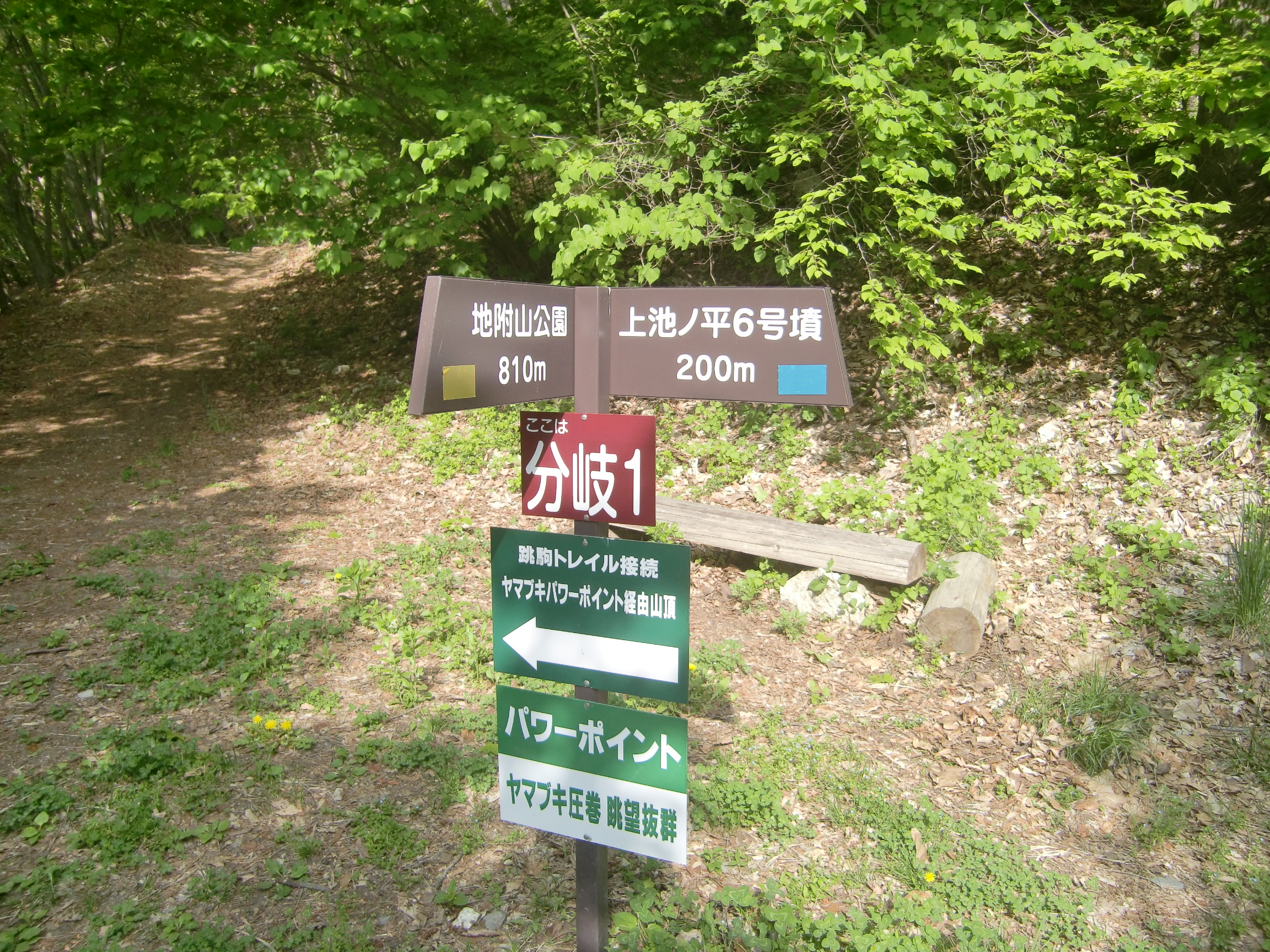 思い出の地附山 ひでさんの長野市の活動日記 Yamap ヤマップ