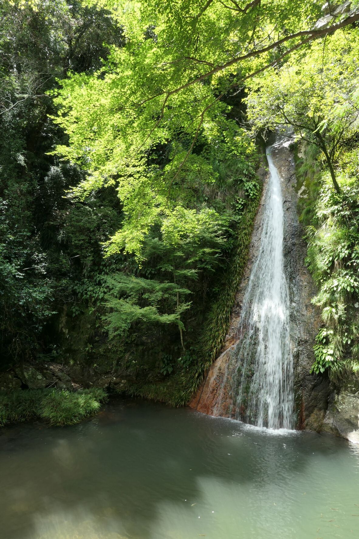 徳島阿南、那賀川突堤から加茂谷午尾の滝へ / ツバメのこころさんのウォーキングの活動データ YAMAP / ヤマップ