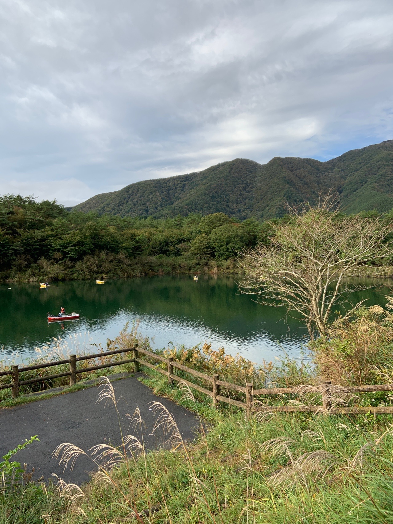 大室山 山梨県 19 10 あらごんさんの鳴沢村の活動データ Yamap ヤマップ