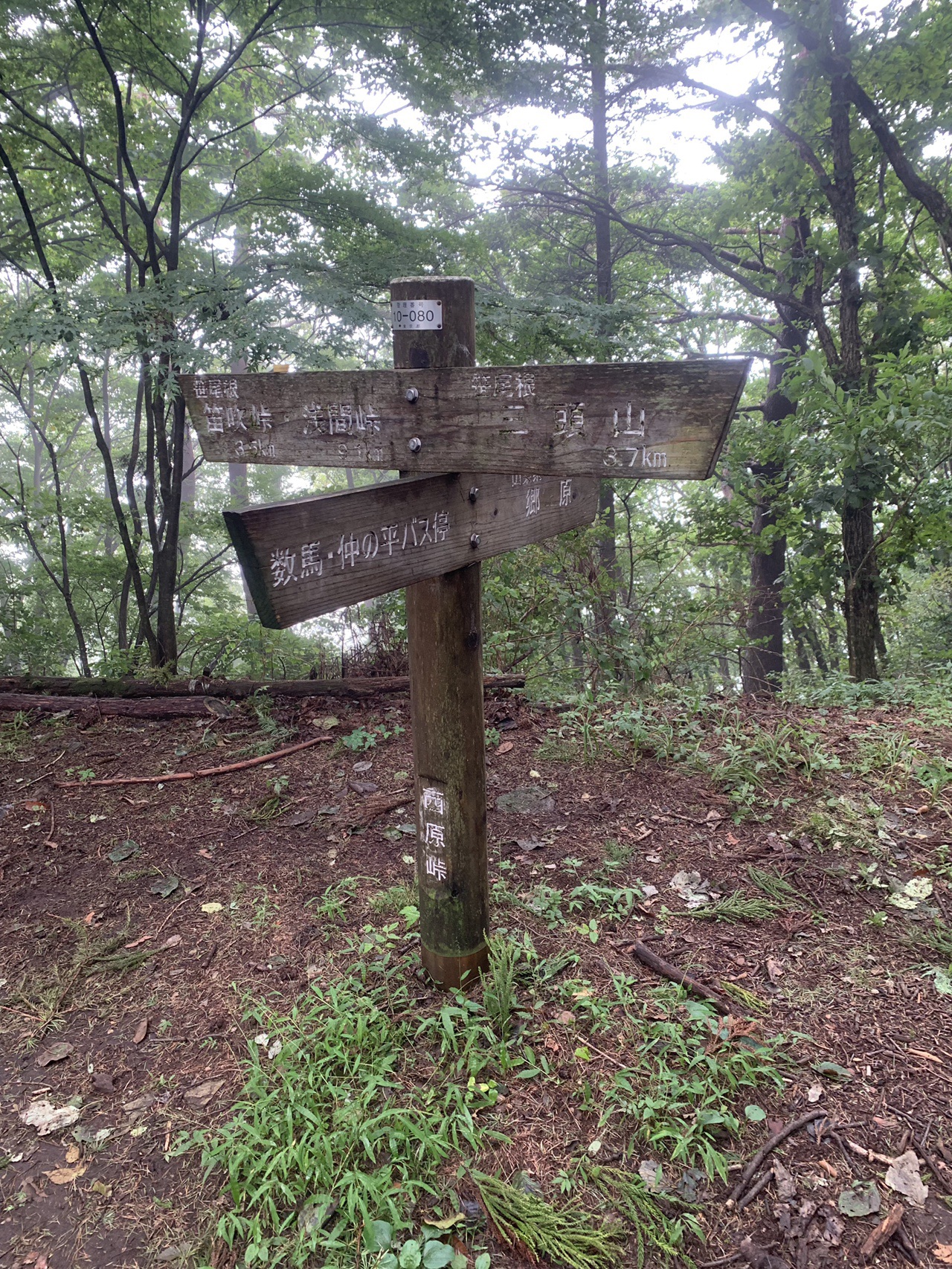 ハセツネcup 前半試走 スタート 西原峠 キタジさんのハセツネcup 日本山岳耐久レース 71 5kmコース の活動データ Yamap ヤマップ