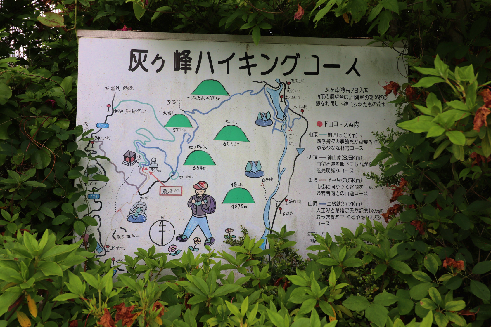 灰ケ峰ハイキングコース地図MAP。登山道🥾らしい道を見かけました🤔