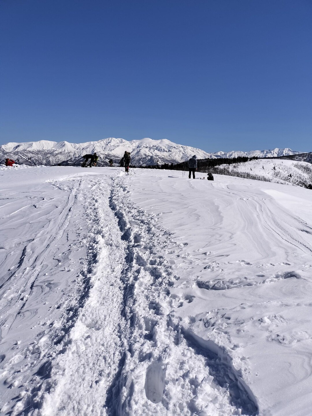 取立山-2023-02-28 / inojunさんの取立山の活動データ | YAMAP / ヤマップ