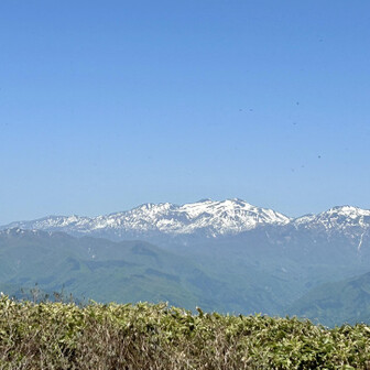 荒島岳 今年も登りたい白山‼️