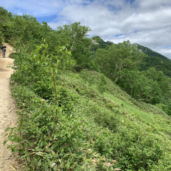 燕岳・餓鬼岳・唐沢岳 燕岳！？