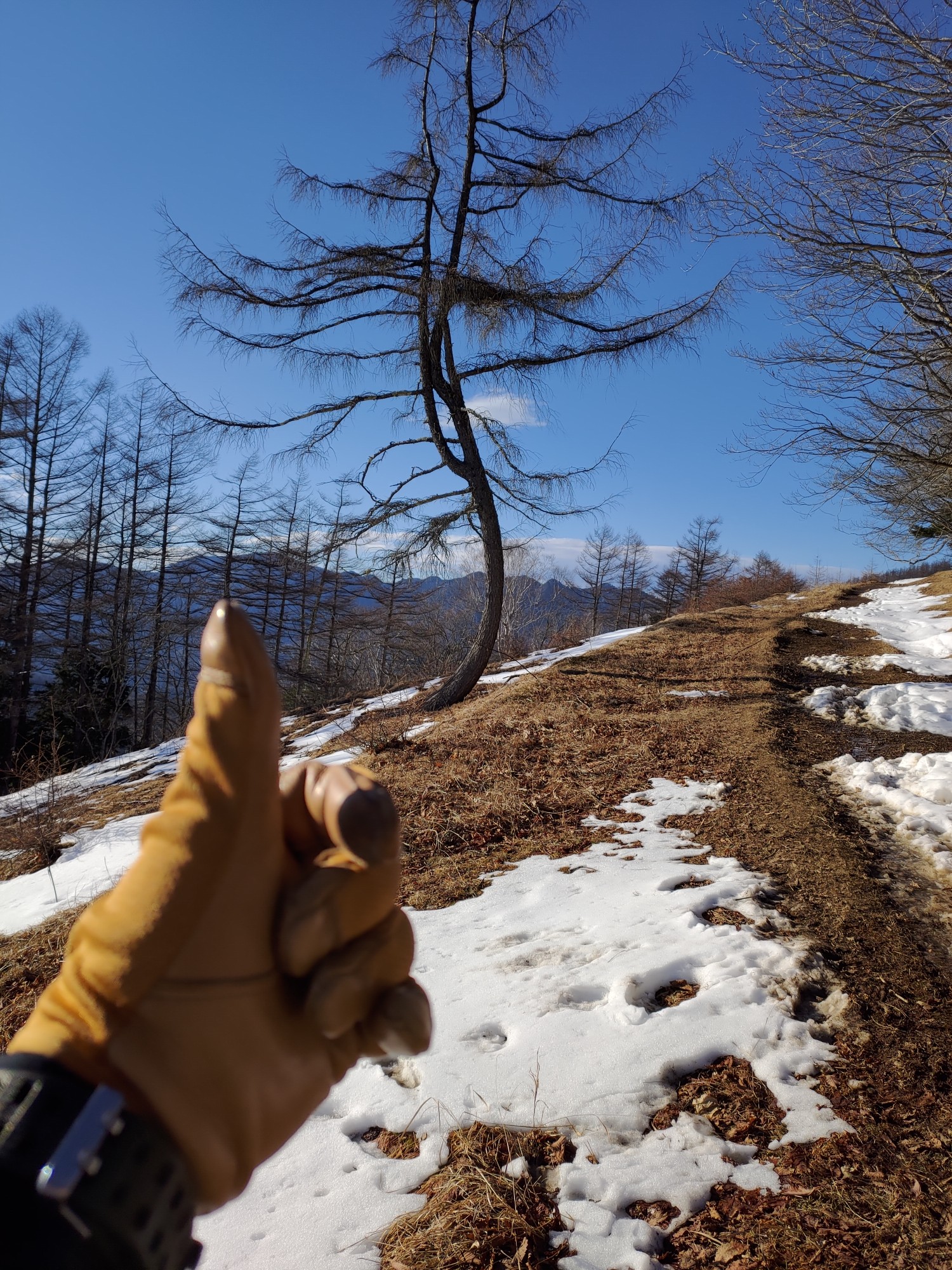 鴨沢から三峰神社へ 雪の雲取山縦走は最高の巻 ティーダさんの雲取山 鷹ノ巣山 七ツ石山の活動日記 Yamap ヤマップ