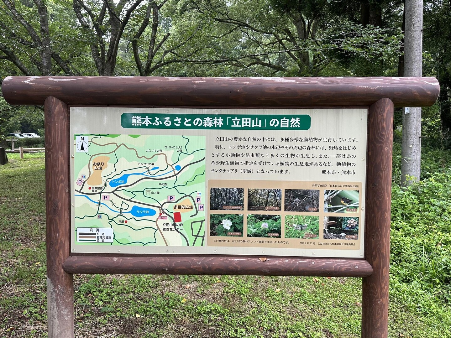 立田山20230618 / やっちゃんさんの立田山の活動データ YAMAP / ヤマップ