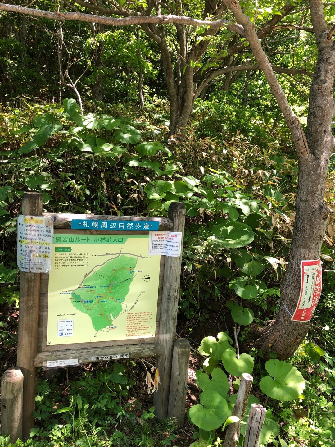 すごいぞ 札幌近郊の森 円山 砥石山 砥石山 北海道 の写真9枚目 小林峠に着きました Yamap ヤマップ