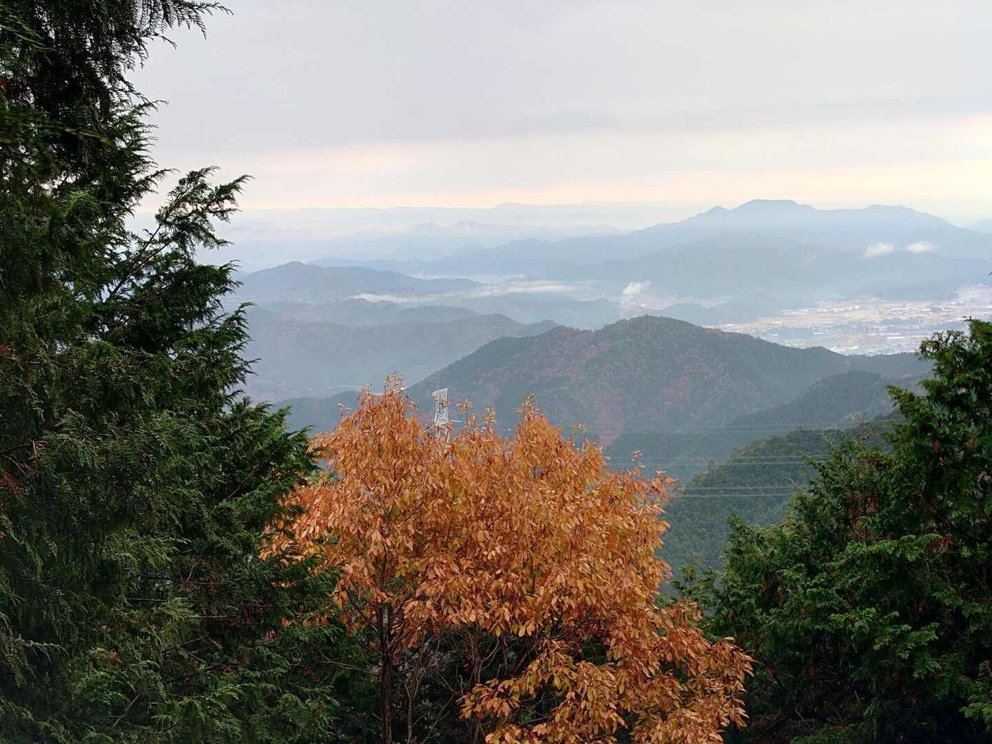今年最後の月例登山は15人で【釜ヶ谷山】へ！！！ / ぽんたさんの釜ヶ谷山の活動データ YAMAP / ヤマップ