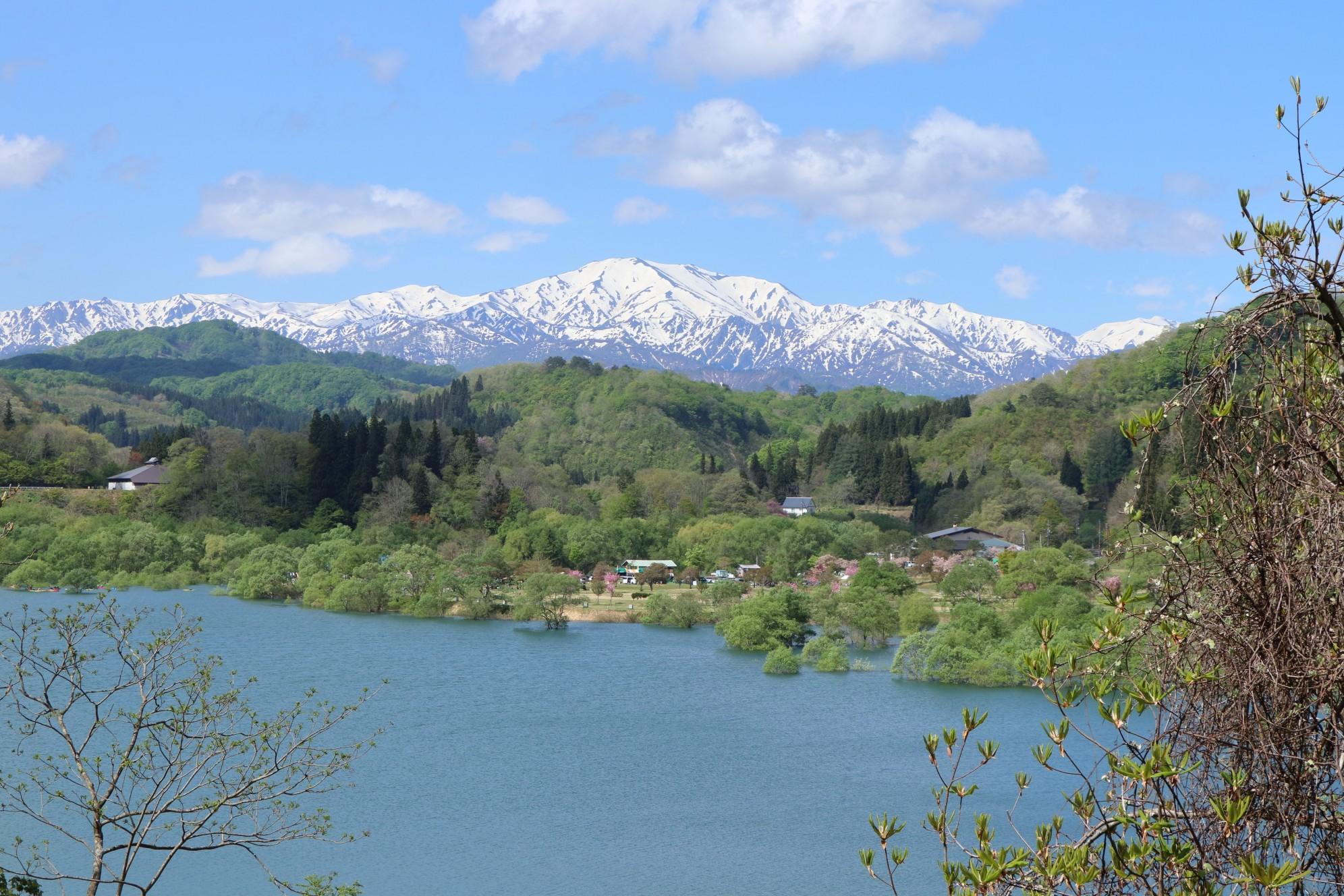 山形県飯豊町 源流の森 (白川ゾーン) / stromboliさんの飯豊町の活動データ YAMAP / ヤマップ